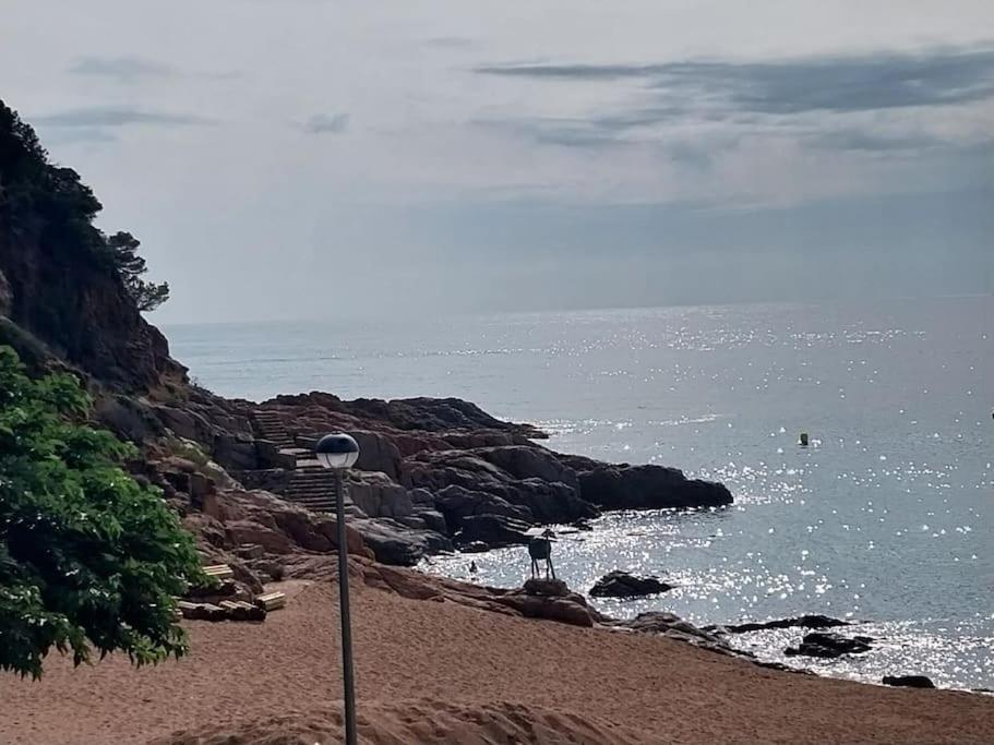 카네트데마르 Cala Salions Balandro II Tossa De Mar 아파트 외부 사진