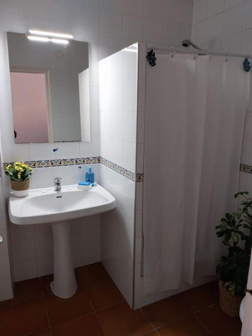 카네트데마르 Cala Salions Balandro II Tossa De Mar 아파트 외부 사진