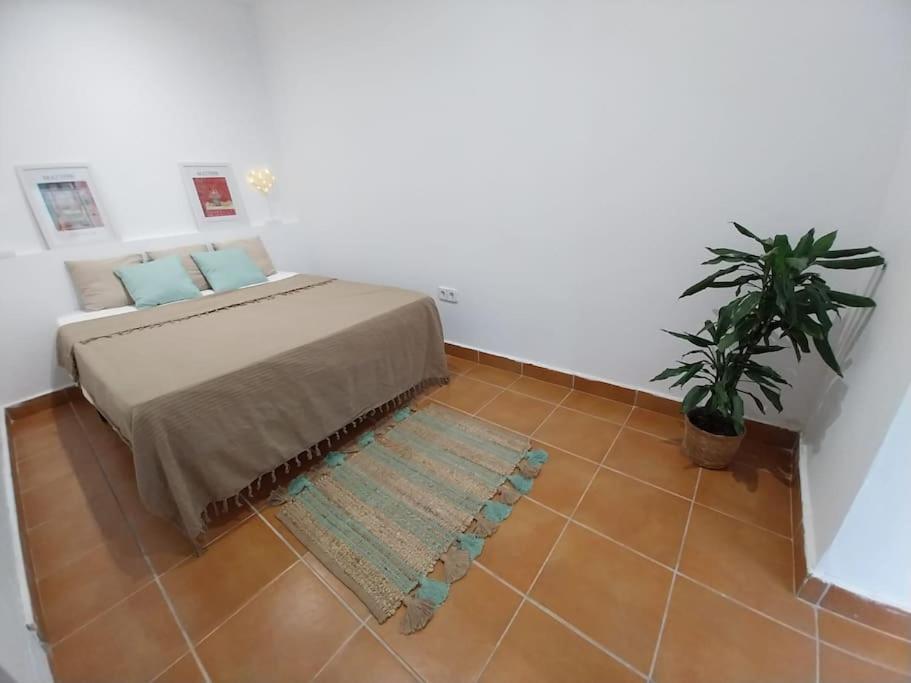 카네트데마르 Cala Salions Balandro II Tossa De Mar 아파트 외부 사진