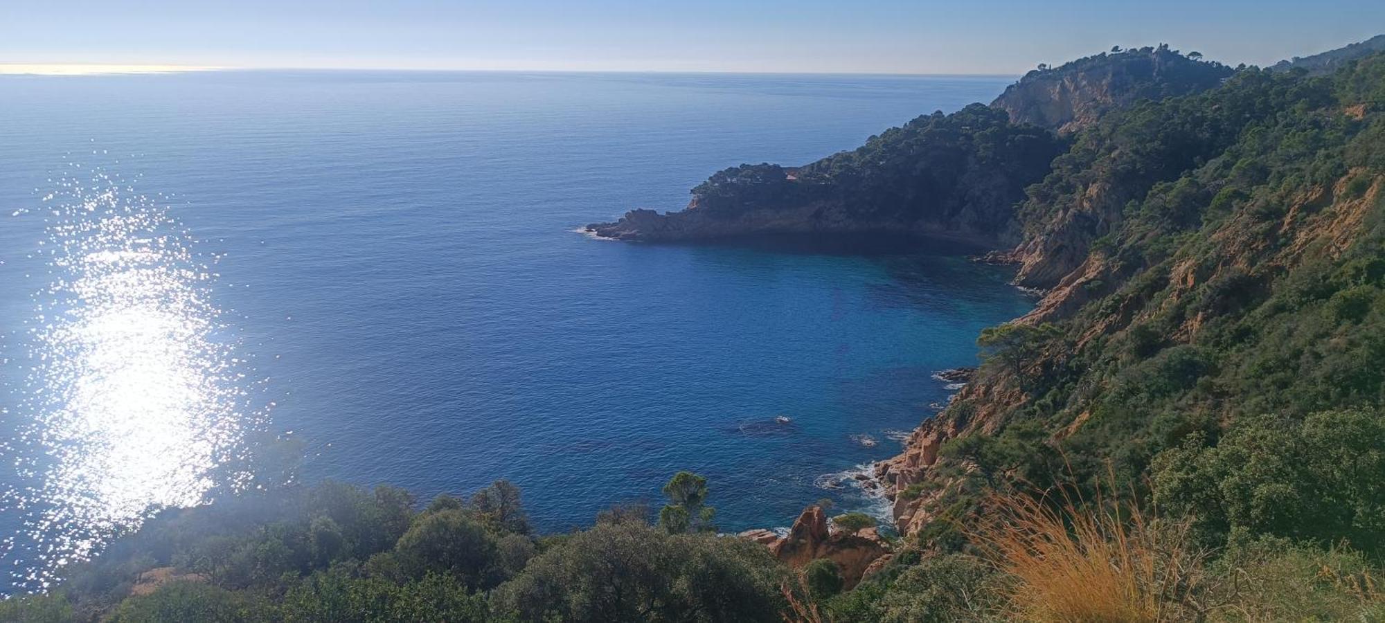 카네트데마르 Cala Salions Balandro II Tossa De Mar 아파트 외부 사진